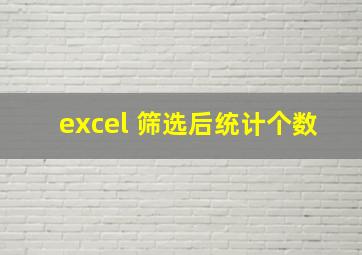 excel 筛选后统计个数